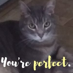 Meet your Posher, Deanne